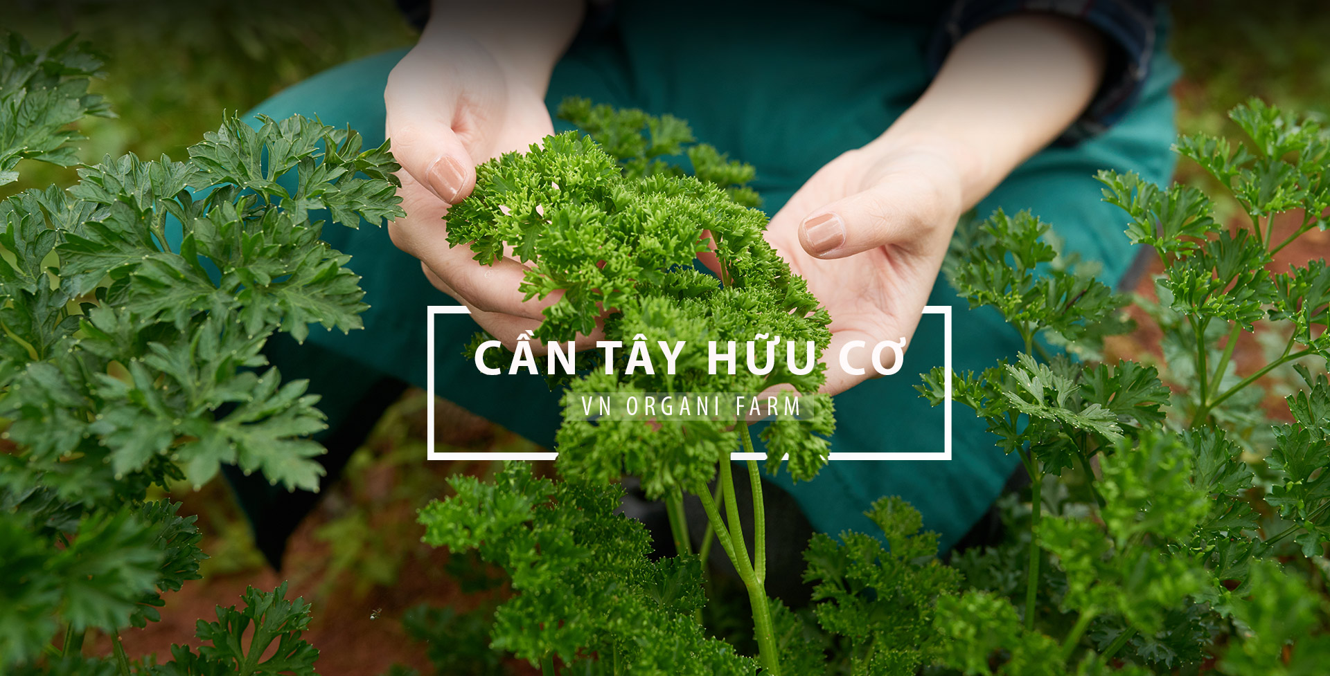 CAN TAY HUU CO SLIDER